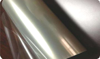 ���Ʊ���Ĥ���轺���ǿ���)